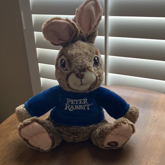 Peter Rabbit - Picture 1 of 5